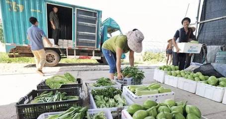 農副產品物流的特點