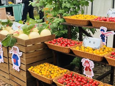 品蔬果、釣龍蝦…玩轉(zhuǎn)四季嘉年華 桐鄉(xiāng)鄉(xiāng)村振興的田園交響曲